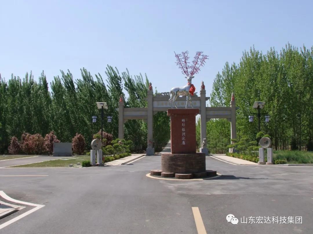 山东心博买球_心博买球集团举办党史学习教育活动